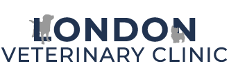 Link to Homepage of London Veterinary Clinic